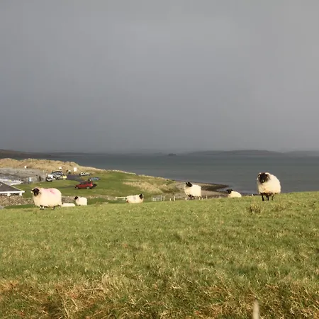 Brooklodge Bed & Breakfast