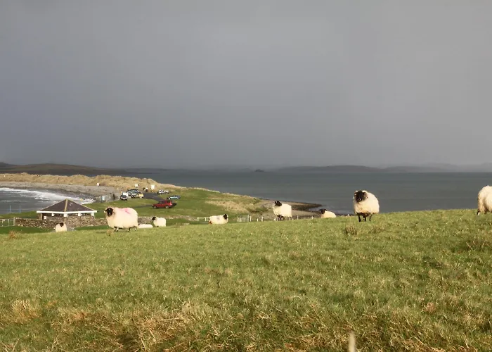 Brooklodge Bed & Breakfast